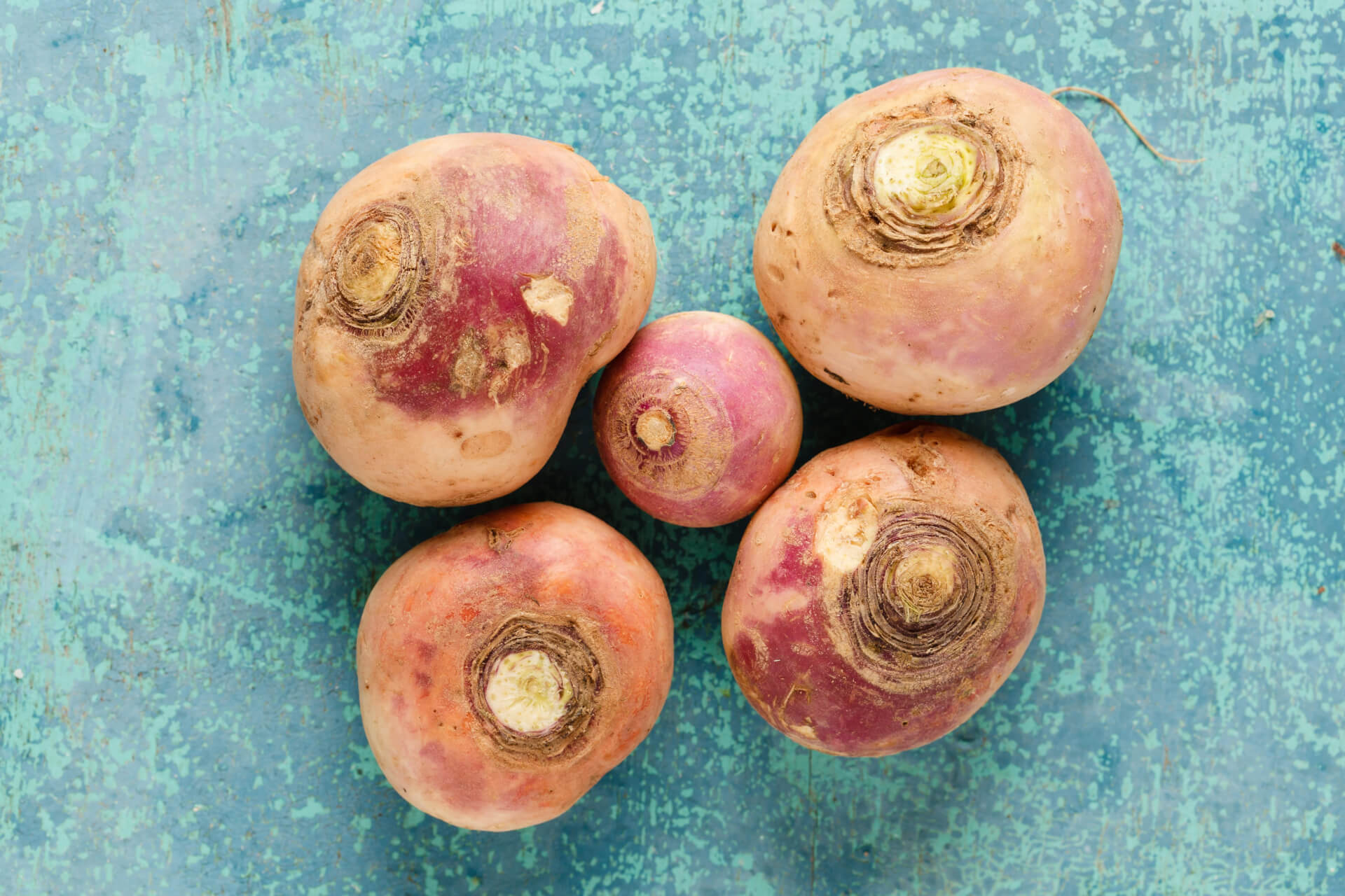 Rutabaga Image